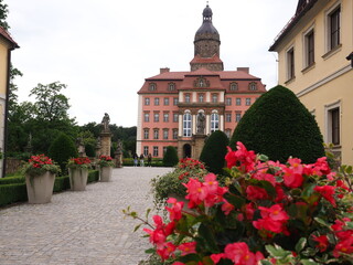 Książ Castle with flowers (pink begonia), Wałbrzych Poland