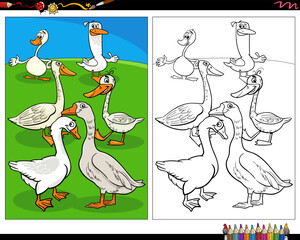 Obraz premium cartoon geese birds farm animal characters coloring page