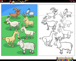 cartoon goats farm animal characters coloring page