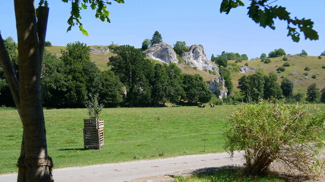 Felsformation im Eselsburger Tal auf der Ostalb