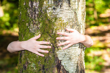 children's hands hug a tree.