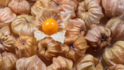 Top view and close up of physalis.