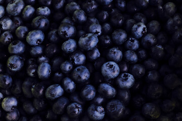 Blueberries background. Fresh Berries. 