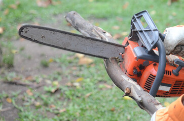 Closeup of a man's hand holding a chainsaw on a half-cut trunk