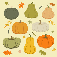 Vector set of colorful pumpkins and autumn leaves. Vector illustration on a light background in flat style. - obrazy, fototapety, plakaty