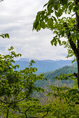 summer, morning on a mountain plateau, mountain panorama, awakening in nature and the birth of a new life.