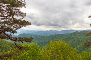 summer, morning on a mountain plateau, mountain panorama, awakening in nature and the birth of a new life.