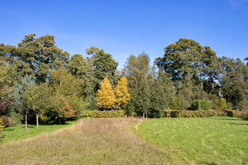 Autumn landscape with trees and blue sky