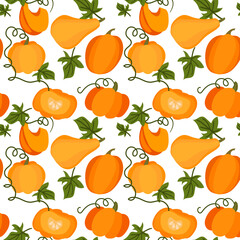 Pattern autumn pumpkins with leaves. Various shapes and sizes of orange pumpkin are isolated on a transparent background. Vector illustration. Printing, kitchen, food, products, labels