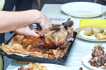 female hands butchering a goose baked in the oven