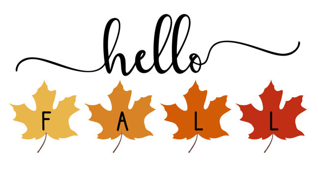 Vector autumn quote Hello Fall with autumn maple leaves isolated on white background.