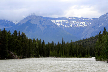 La rivière Bow est une rivière à Banff, Alberta, Canada