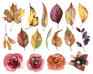 set of watercolor autumn leaves, flowers, berries and branches. Maple, birch, linden, oak, rose. Forest decor, autumn vegetation, for cards, invitations, diaries, stickers, scrapbooking