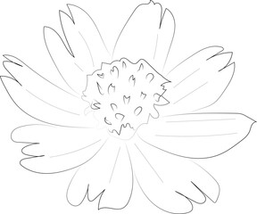 A simple black and white vector line drawing of a flower on a white background.