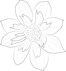 A simple black and white vector line drawing of a flower on a white background.