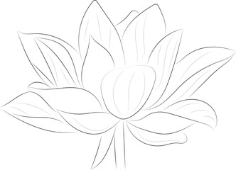 A simple black and white vector line pattern of a flower on a white background. Lotus flower.