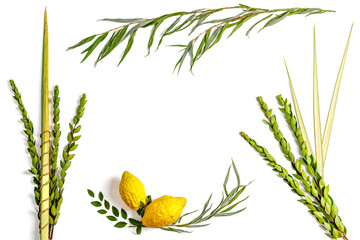 Jewish holiday of Sukkot. Traditional symbols (The four species): Etrog (citron), lulav (palm...