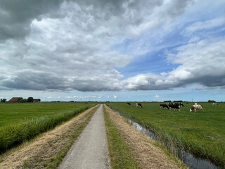 Dark clouds above the cows and farmland
