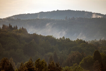 Mist rising above dense pine forest of Rakovica in the mountain region of Lika, Croatia at sunset