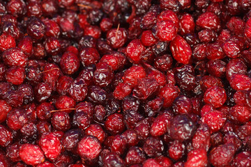 Sweet candied cranberries close-up.