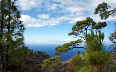 Obraz na płótnie Canvas View of the blue ocean from the top of the mountain of the island of La Palma. Canary Islands, Spain.