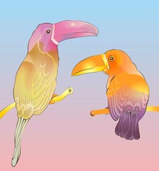 illustration which depicts two birds parrots toucans with a large beak and bright multi-colored plumage, wings and tail in golden and pink colors