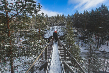 Repovesi National Park, aerial winter view, landscape view of a finnish park, southern Finland,...