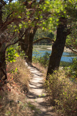 Hiking trail through oak trees in the Sonoma Valley Regional Park in Glen Ellen, California during...
