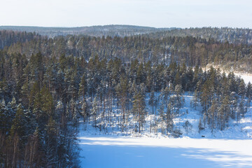 Repovesi National Park, aerial winter view, landscape view of a finnish park, southern Finland, Kouvola and Mantyharju, region of Kymenlaakso, with a group of tourists and wooden infrastructure