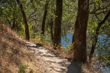 Fototapeta na wymiar Hiking trail through oak trees in the Sonoma Valley Regional Park in Glen Ellen, California during summer. Wine Country getaway.