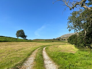Fototapeta na wymiar Farm track, leading into open fields, with hills in the distance in, Austwick, Lancaster, UK