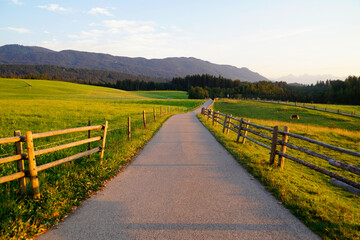 Fototapeta premium a sunlit road leading through the picturesque Bavarian countryside of the Steingaden region in the Bavarian Alps, Allgaeu, Bavaria, Germany 