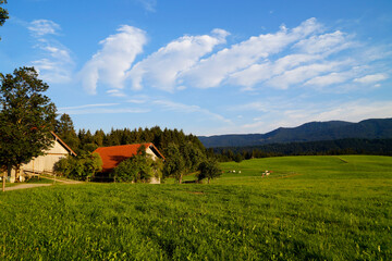 Fototapeta na wymiar the picturesque Bavarian countryside with its sunlit vast green alpine meadows in the Steingaden region in the Bavarian Alps, Allgaeu, Bavaria, Germany