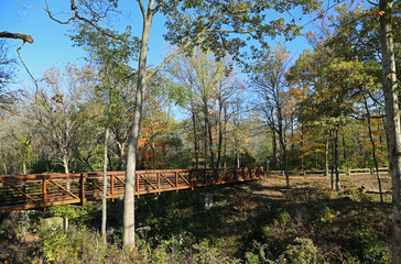 Fototapeta na wymiar The trail in the park - Indian Mound Reserve, Ohio