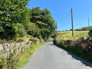 Silsden Road, with dry stone walls, wild plants, and old trees, on a summers day near, Bradley, Skipton, UK