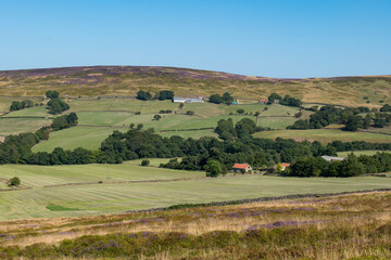 Fototapeta premium Dry conditions on the North Yorkshire Moors during the hot weather of the heatwave . Landscape picture of farmland on the moorlands.