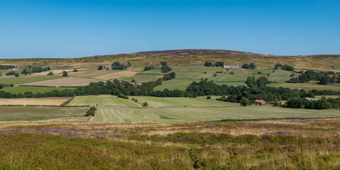 Obraz premium Dry conditions on the North Yorkshire Moors during the hot weather of the heatwave . Landscape picture of farmland on the moorlands.