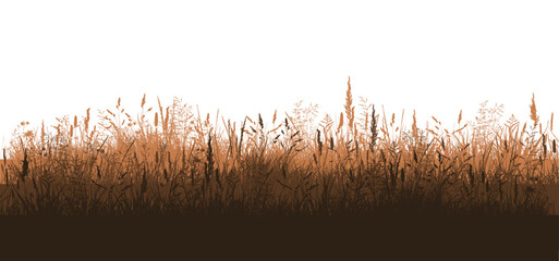 brown grass silhouette. Vector illustration