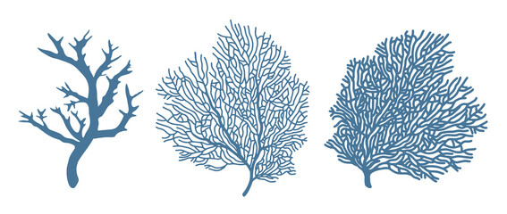Corals. Three blue vector silhouettes of coral branches. Illustration isolated on white background.