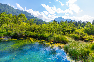 Zelenci - emerald-green lake in the mountains