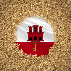 Flag of gibraltar with grains of wheat. Natural whole wheat concept with flag of gibraltar