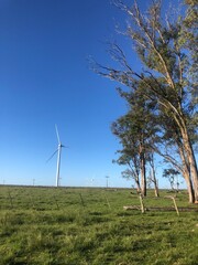Fototapeta na wymiar wind turbines farm