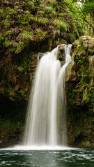Fototapeta na wymiar Waterfall in Hana Hawaii
