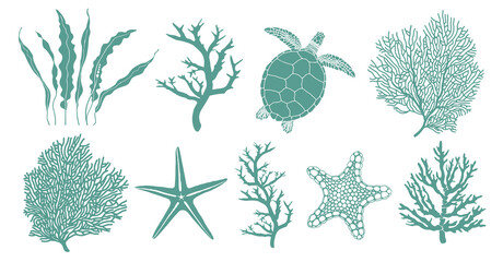 Оcean fauna. Vector set of nine elements of the underwater world: silhouettes of a turtle, kelp, coral, starfish isolated on a white background. © NBvector