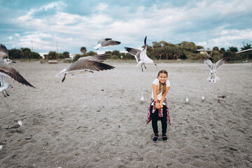 little girl feeding seagulls on the beach 