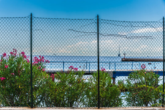 chain-link fence with  mediterranean flowers in the harbor of trieste, italy