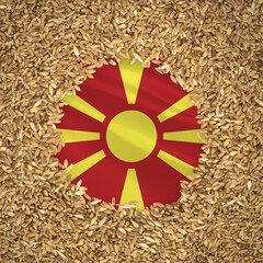 Flag of north macedonia with grains of wheat. Natural whole wheat concept with flag of north...