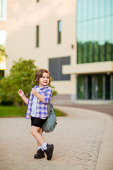 Fototapeta premium a little schoolgirl, standing in glasses,near the school building,with a backpack