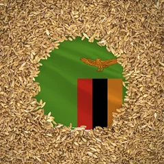 Foto op Aluminium Flag of zambia with grains of wheat. Natural whole wheat concept with flag of zambia © prehistorik