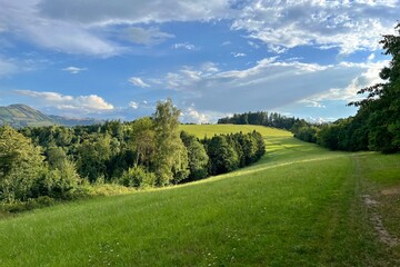 path in the meadow in the hills